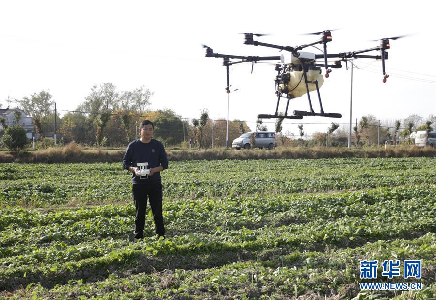 (全面建成小康社會“百城千縣萬村調研行”·圖文互動)(2)安徽當涂:強產(chǎn)業(yè)抓主體促增收