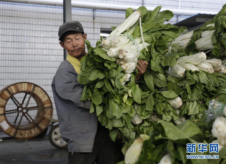 (全面建成小康社會“百城千縣萬村調研行”·圖文互動)(3)安徽當涂:強產(chǎn)業(yè)抓主體促增收