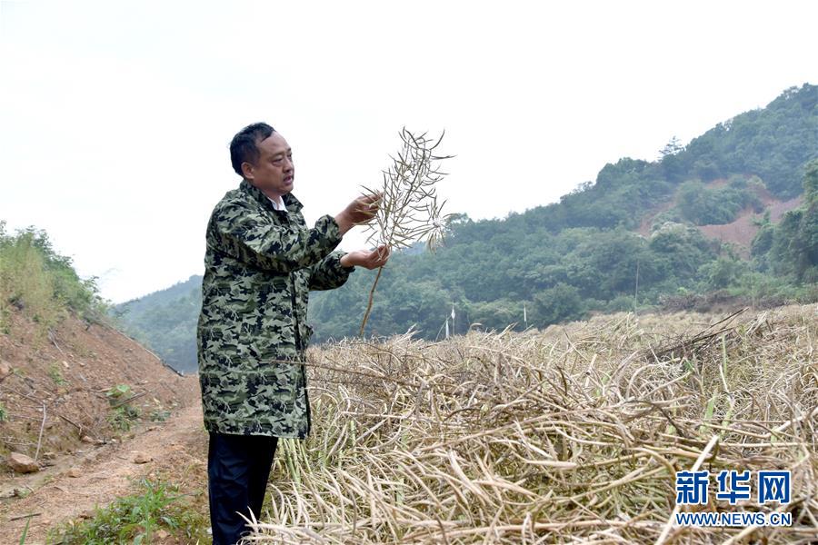 （代表委員履職·圖文互動）（1）“我是農(nóng)民代表，始終關(guān)注農(nóng)村”——全國人大代表沈昌健的履職故事