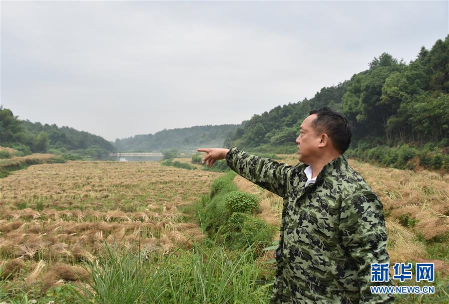 （代表委員履職·圖文互動）（2）“我是農(nóng)民代表，始終關(guān)注農(nóng)村”——全國人大代表沈昌健的履職故事