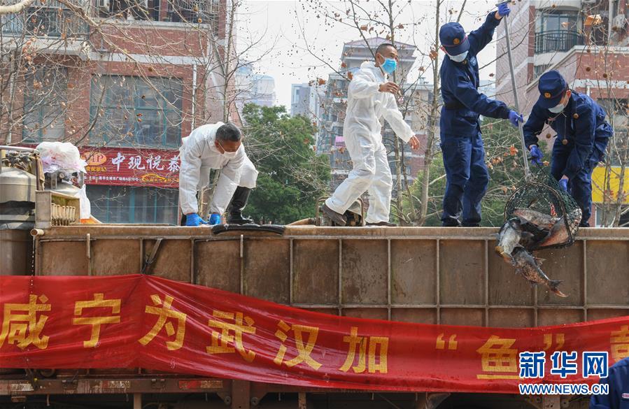 （新華全媒頭條·圖文互動(dòng)）（12）從人民中汲取磅礴力量——習(xí)近平總書記同出席2020年全國(guó)兩會(huì)人大代表、政協(xié)委員共商國(guó)是紀(jì)實(shí)