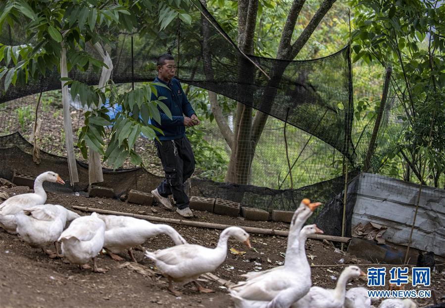 （新華全媒頭條&middot;兩會精神看落實(shí)&middot;圖文互動）（8）培育新機(jī) 開辟新局&mdash;&mdash;落實(shí)全國兩會精神激發(fā)經(jīng)濟(jì)發(fā)展新動能述評