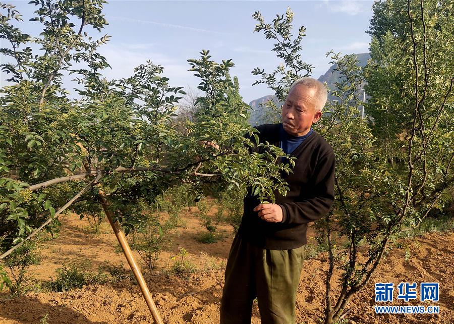 （新華全媒頭條&middot;圖文互動）（5）春天里的5個(gè)&ldquo;戰(zhàn)貧&rdquo;瞬間&mdash;&mdash;習(xí)近平總書記關(guān)于脫貧攻堅(jiān)決策部署指引攻克最后的深貧堡壘