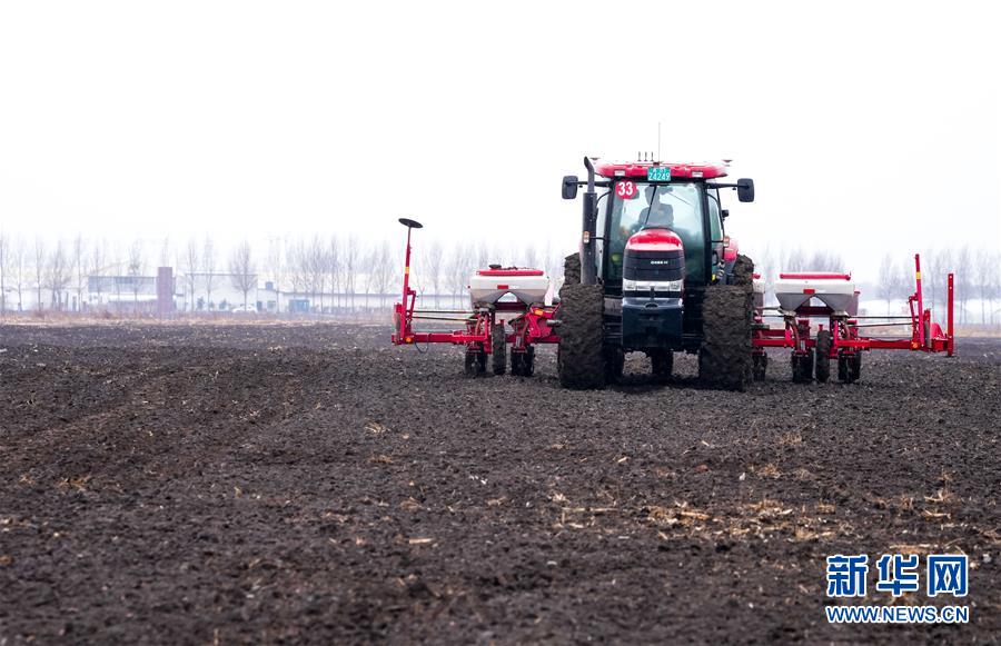 (在習近平新時代中國特色社會主義思想指引下——新時代新作為新篇章·習近平總書記關(guān)切事·圖文互動)(10)春耕忙 信心足——谷雨時節(jié)走馬東北直擊糧事