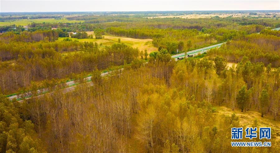 （在習(xí)近平新時(shí)代中國特色社會主義思想指引下&mdash;&mdash;新時(shí)代新作為新篇章&middot;習(xí)近平總書記關(guān)切事&middot;圖文互動）（3）綠意，在黃沙中鋪展&mdash;&mdash;我國防沙治沙紀(jì)實(shí)