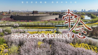 牽念——習(xí)近平關(guān)心龍藏寺碑的故事