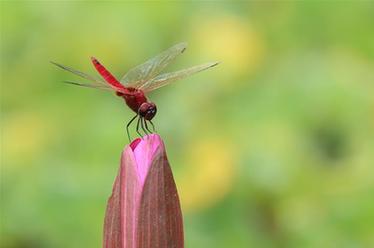 2019，精&ldquo;彩&rdquo;紛呈