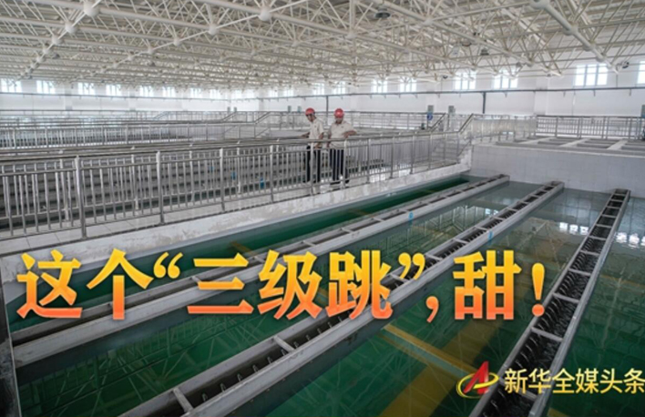 這個(gè)&ldquo;三級跳&rdquo;，甜！