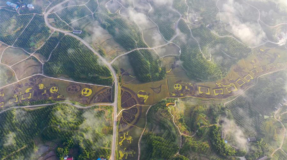 百城千縣萬(wàn)村調(diào)研行｜在三峽橘鄉(xiāng)，遇見最美的田園時(shí)光！