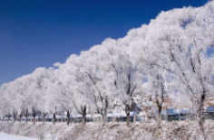 全國初雪時(shí)間表出爐 看看你離初雪還有多遠(yuǎn)？