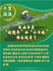 干貨滿滿！農業(yè)年度“成績單”和“小目標”都在這里了