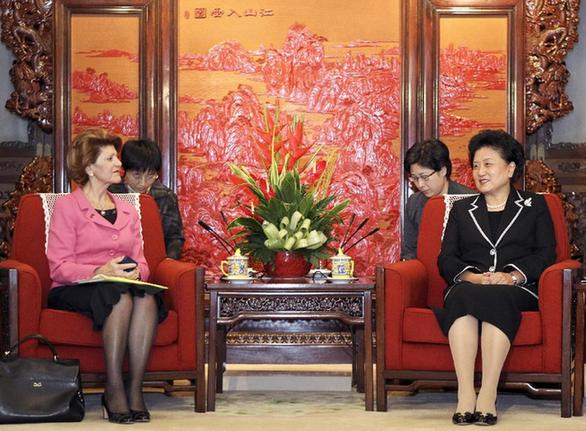 劉延?xùn)|會(huì)見(jiàn)歐盟委員會(huì)教育、文化、語(yǔ)言多樣性及青年事務(wù)委員瓦西利烏