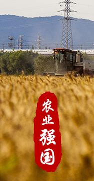 農(nóng)業(yè)強(qiáng)國(guó)是社會(huì)主義現(xiàn)代化強(qiáng)國(guó)的根基。