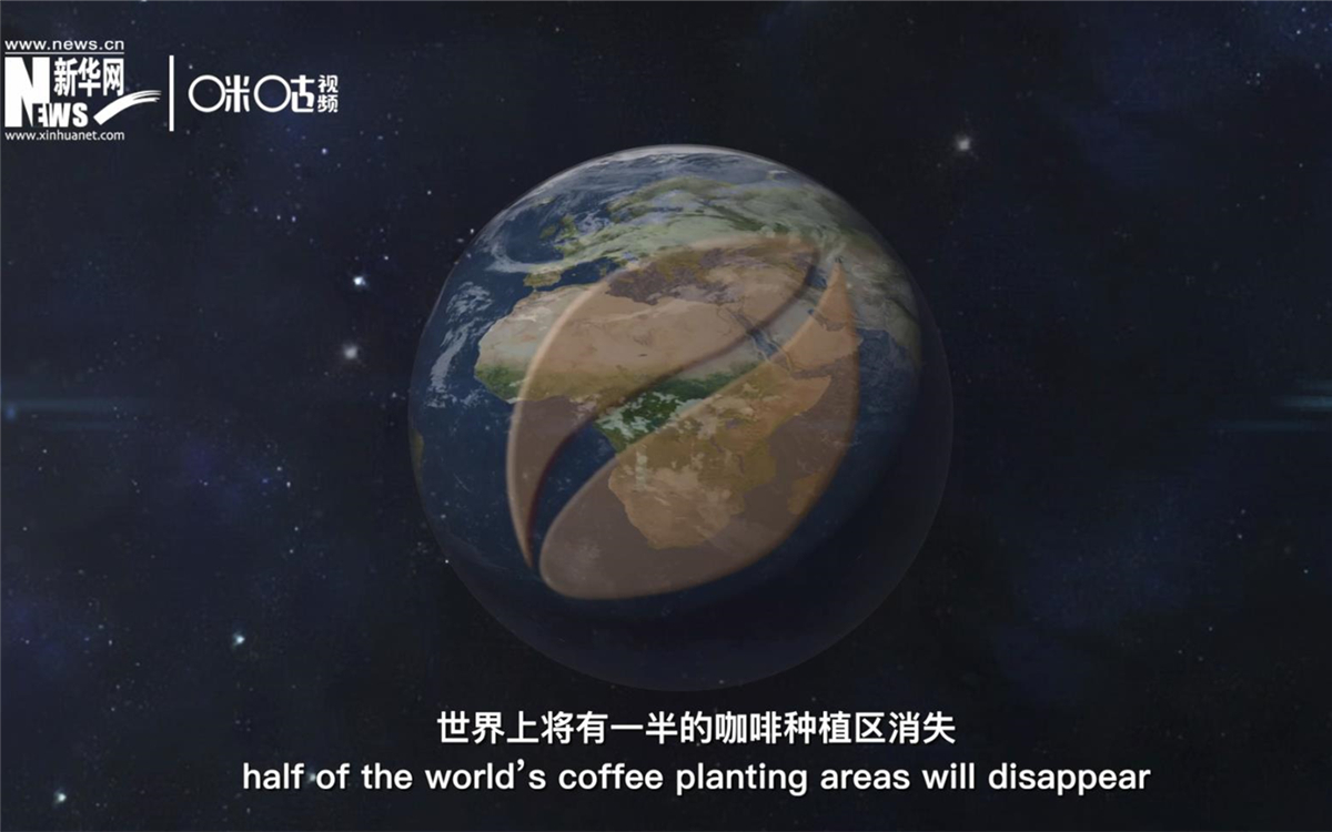 科學(xué)家預(yù)測(cè)到三十年后，世界上將有一半的咖啡種植區(qū)消失
