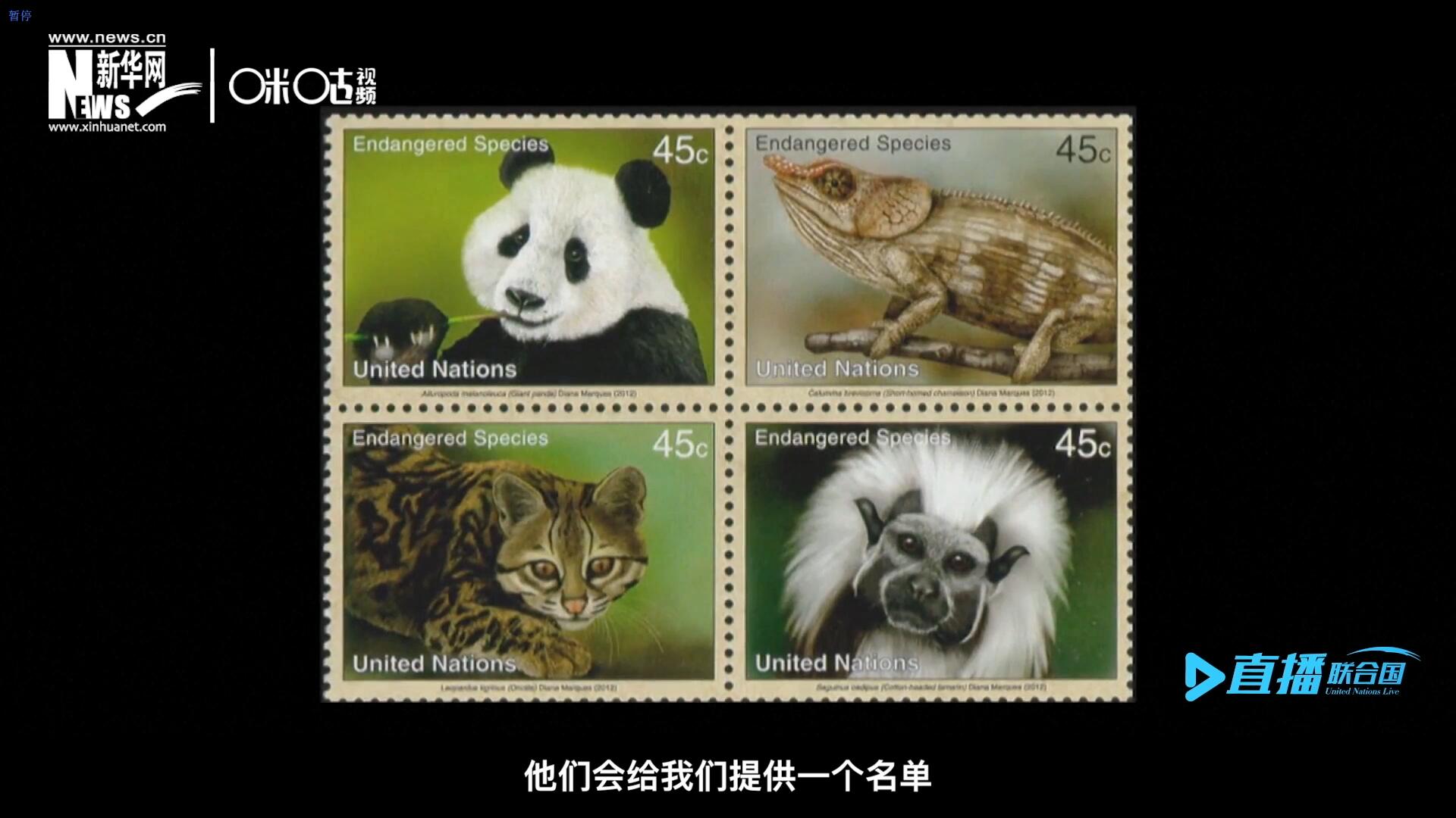CITES（瀕危野生動(dòng)植物種國(guó)際貿(mào)易公約）會(huì)給聯(lián)合國(guó)郵政設(shè)計(jì)師提供一個(gè)名單，雙方共同合作在附錄中找到名單中應(yīng)該受到關(guān)注的動(dòng)物。