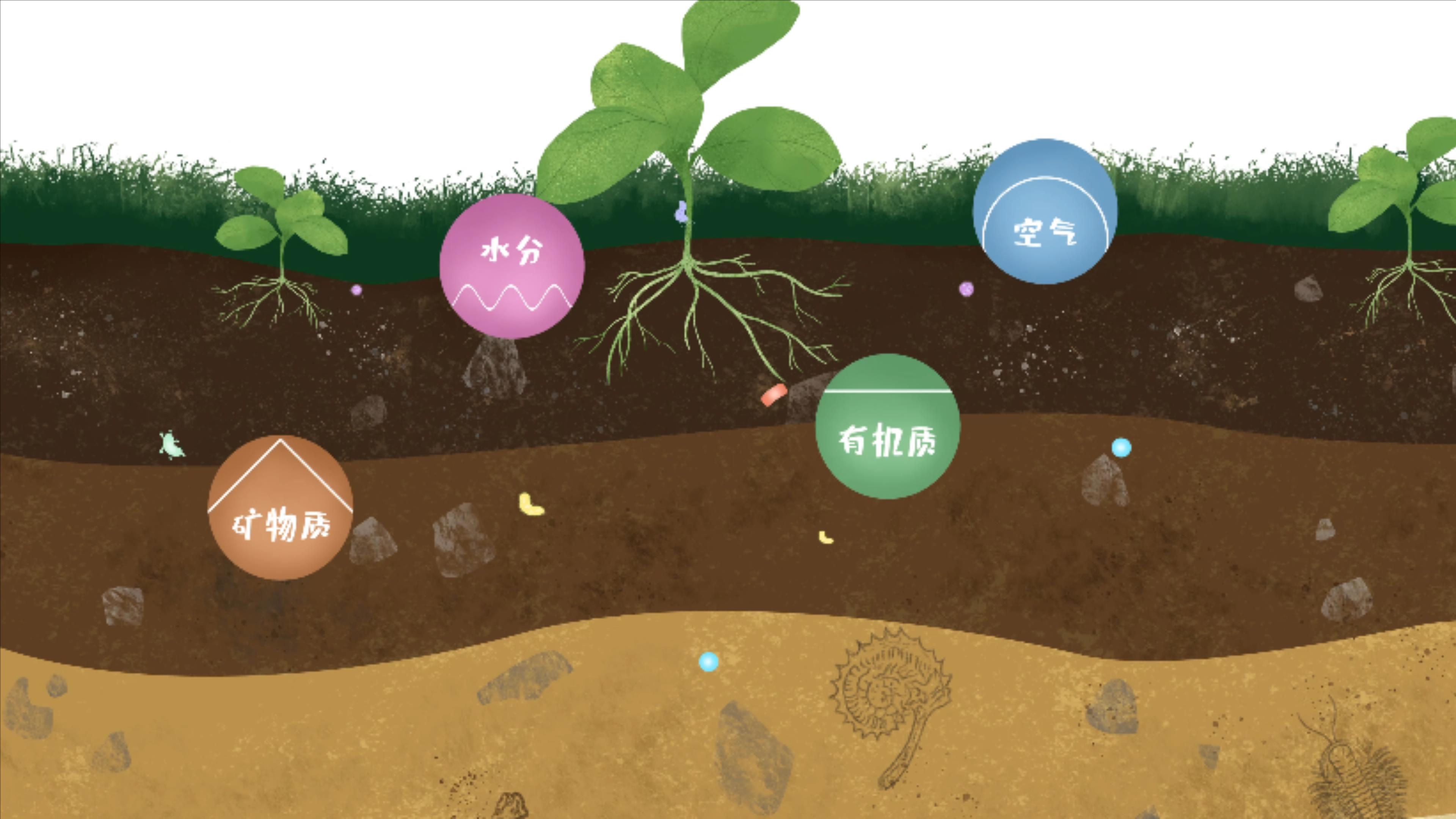 土壤由礦物質(zhì)、有機質(zhì)、水分、空氣及包括微生物在內(nèi)的生物體等組成