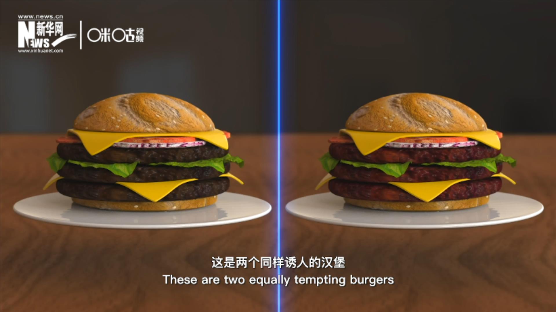 人造肉漢堡能在生產(chǎn)過程中節(jié)約水、土地、排放以及能量