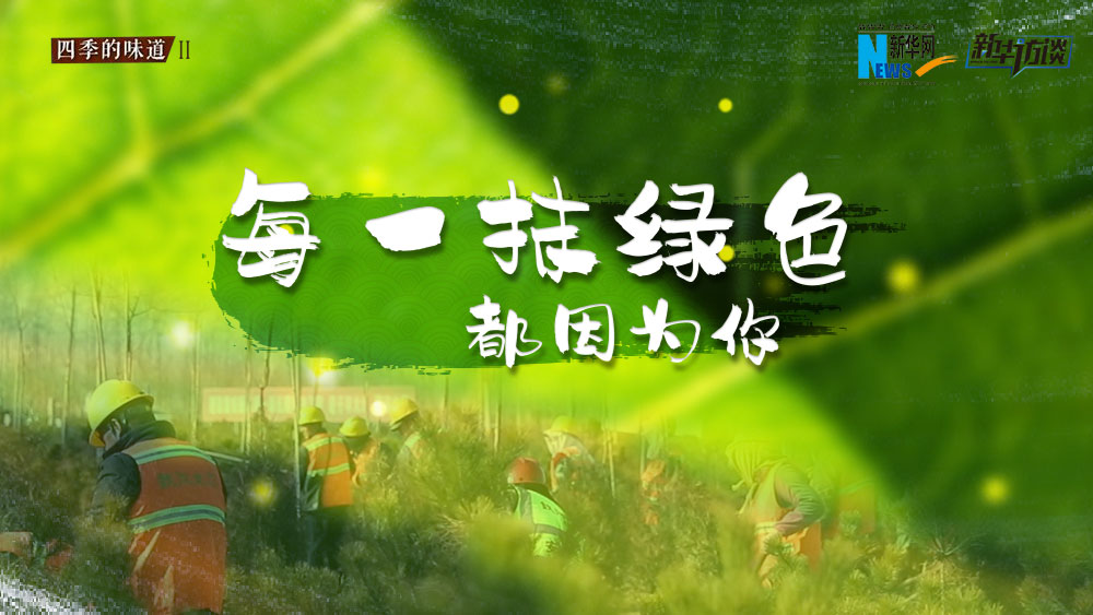 千年秀林，每一抹綠色都因?yàn)槟? /></p>
<p class=
