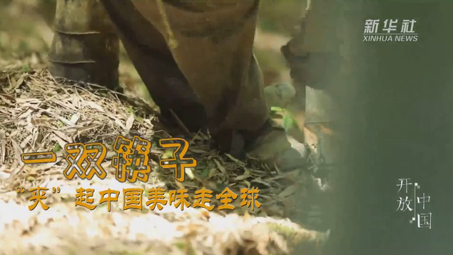 一雙筷子：&ldquo;夾&rdquo;起中國美味走全球