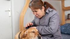 &ldquo;有你在身旁，真好&rdquo;