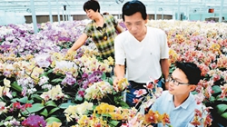 臺(tái)商眼中的改革開放：風(fēng)景這邊獨(dú)好 要去，要去，要去！