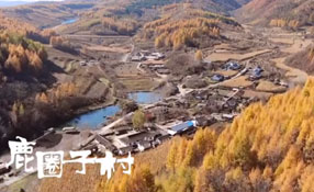 探秘關(guān)東人家，畫一個童話里的秋天