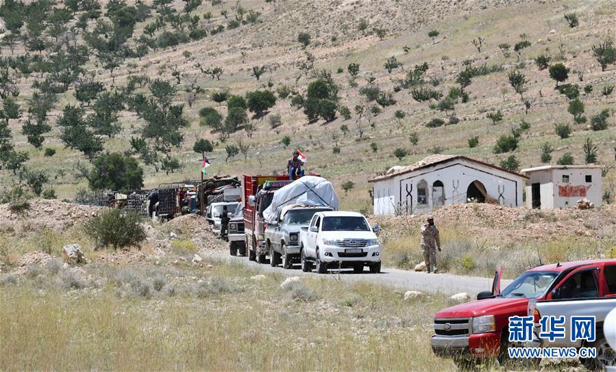 （國際&middot;圖文互動(dòng)）（5）歸鄉(xiāng)，不再流浪&mdash;&mdash;記敘利亞難民返鄉(xiāng)