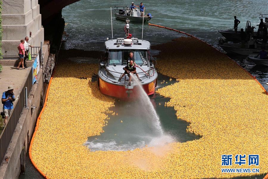 （國(guó)際&middot;一周看天下）小黃鴨競(jìng)速 