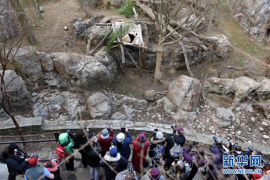 （國際&middot;圖文互動）（6）中美建交四十年 一路風(fēng)雨總向前 