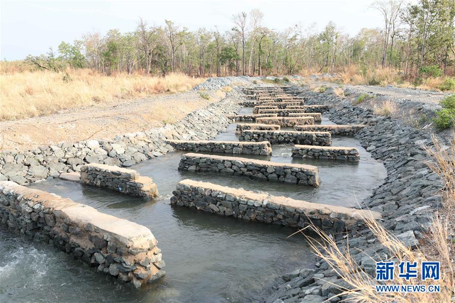 （國(guó)際&middot;&ldquo;一帶一路&rdquo;高峰論壇&middot;圖文互動(dòng)）（2）通訊：為魚兒保障回家的路&mdash;&mdash;中國(guó)水電工程助力柬埔寨綠色發(fā)展