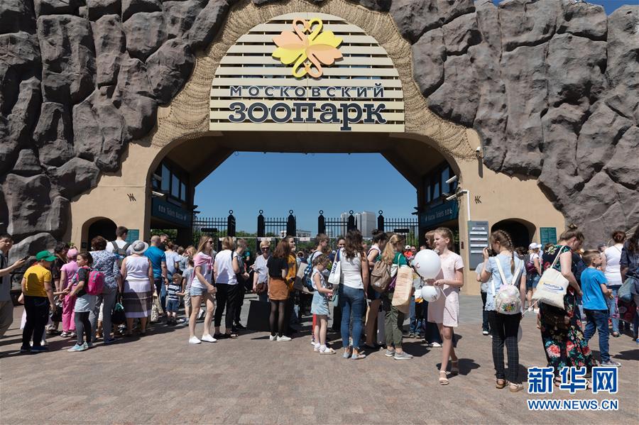 (習(xí)近平出訪配合稿·圖文互動(dòng))(1)通訊:“友誼使者”中國(guó)大熊貓入住莫斯科新家