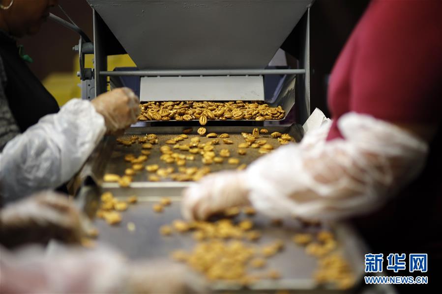 （國(guó)際&middot;圖文互動(dòng)）（8）通訊：期待美中盡早達(dá)成貿(mào)易協(xié)議&mdash;&mdash;颶風(fēng)和關(guān)稅夾擊下的美國(guó)山核桃種植戶(hù)盼重回中國(guó)市場(chǎng)