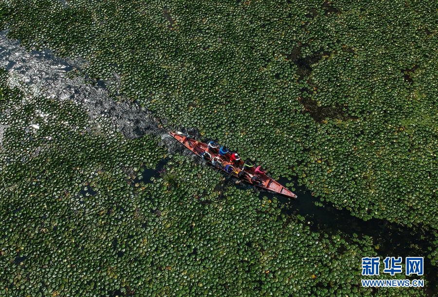 （國(guó)際&middot;年終報(bào)道）（8）2019，精&ldquo;彩&rdquo;紛呈