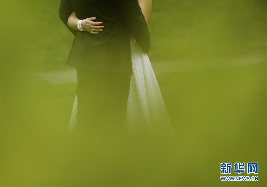 （國(guó)際&middot;年終報(bào)道）（13）2019，精&ldquo;彩&rdquo;紛呈