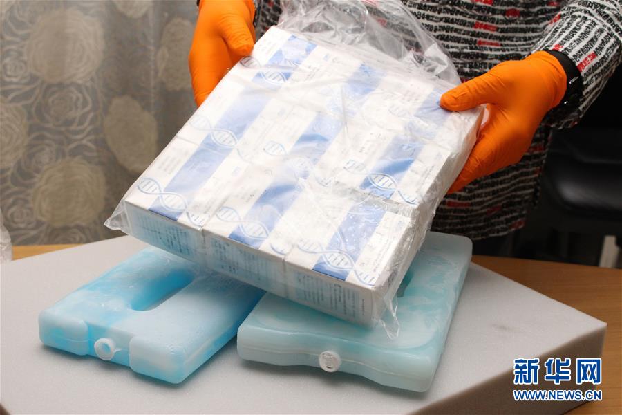 (新華全媒頭條·圖文互動(dòng))(5)守望相助 共克時(shí)艱——中國(guó)力量推動(dòng)全球合力戰(zhàn)“疫”