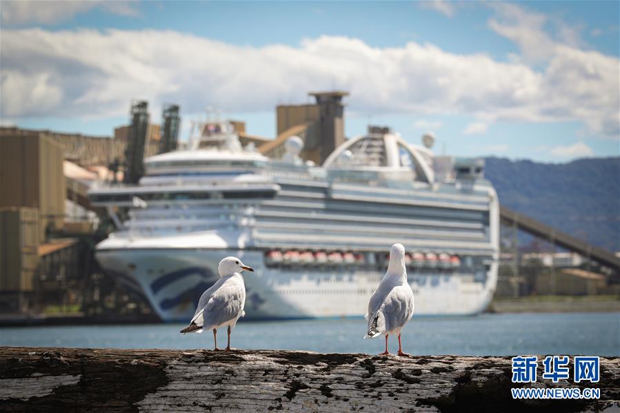 (國際疫情)(2)澳警方對(duì)“紅寶石公主”號(hào)郵輪展開刑事調(diào)查