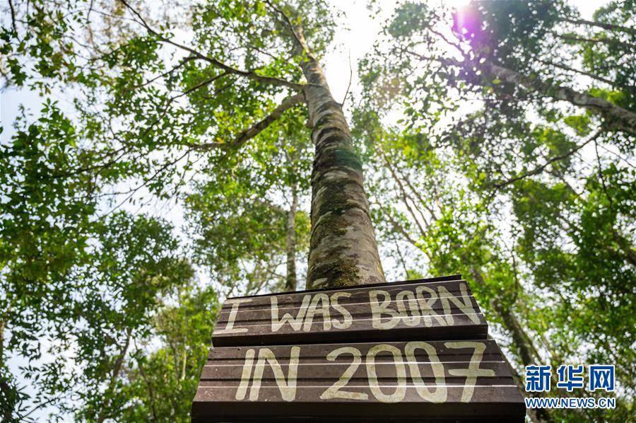 (第三屆進(jìn)博會(huì)·圖文互動(dòng))(4)專訪:進(jìn)博會(huì)提供了一個(gè)共享中國(guó)發(fā)展機(jī)遇的平臺(tái)