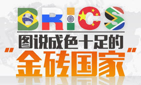 圖說成色十足的&ldquo;金磚國家&rdquo;