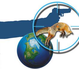 中國(guó)全球&ldquo;獵狐&rdquo;戰(zhàn)果豐碩！