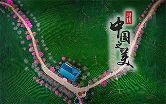 江山如畫，想把春的故事講給你聽